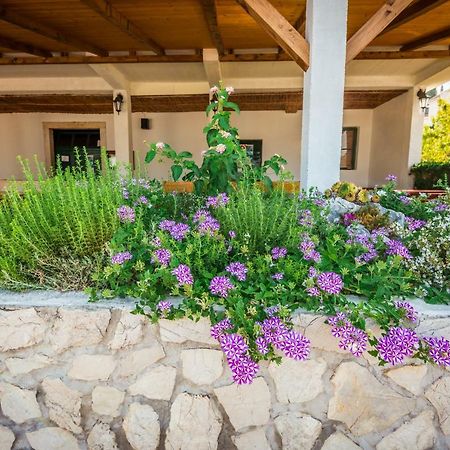 Apartments Galeb Blace Dış mekan fotoğraf