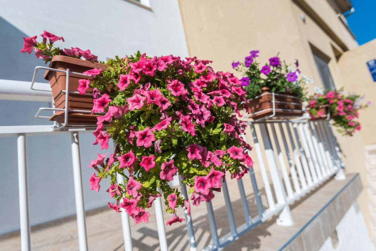 Apartments Galeb Blace Dış mekan fotoğraf